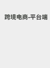 跨境电商-平台端-Leo